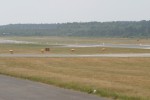 2006 Farnborough Air Show 082
