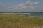 2006 OIB 018
