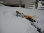 2006 Vail 264