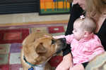 2008-12-06 Abi  019