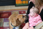 2008-12-06 Abi  020