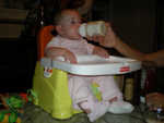 2008 Abigale 002