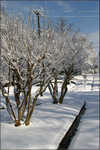 Greensboro Snow 025
