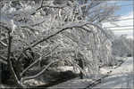 Greensboro Snow 031
