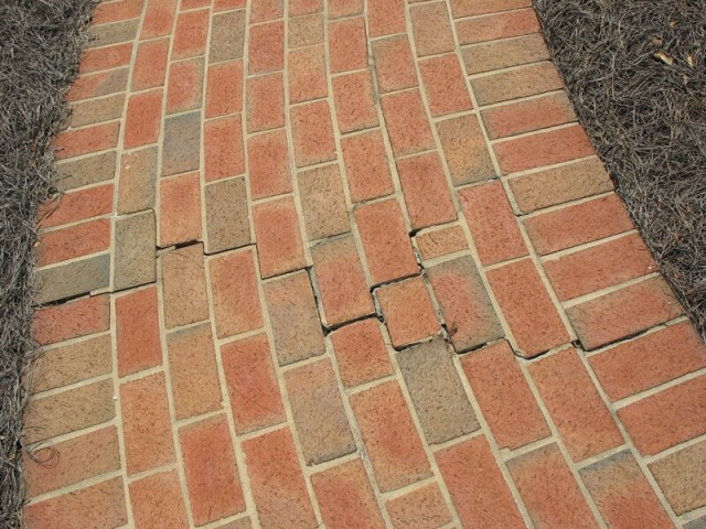 2303 Brigham 005 LR walkway