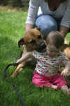 Louie kisses