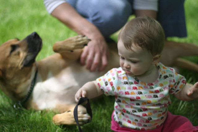 Nevermind the baby, how 'bout some belly scratches!