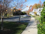 The neighborhood from our house looking towards Friendly Ave