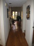 Downstairs hallway view from front door